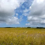 Appartement Gemuetliches In Strandnaehe Dranske
