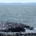 Gemuetliches In Strandnaehe