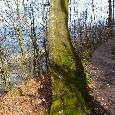 Apartament Gemuetliches In Strandnaehe