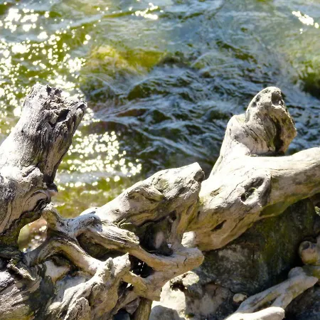 Apartament Gemuetliches In Strandnaehe