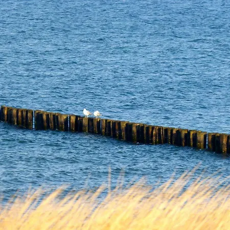 Gemütliches In Strandnähe Apartment Dranske
