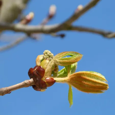 Apartament Gemuetliches In Strandnaehe Dranske