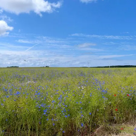 Apartament Gemuetliches In Strandnaehe *