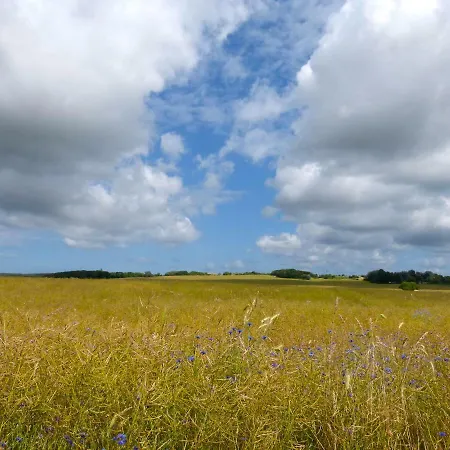아파트 Gemuetliches In Strandnaehe 드란스케
