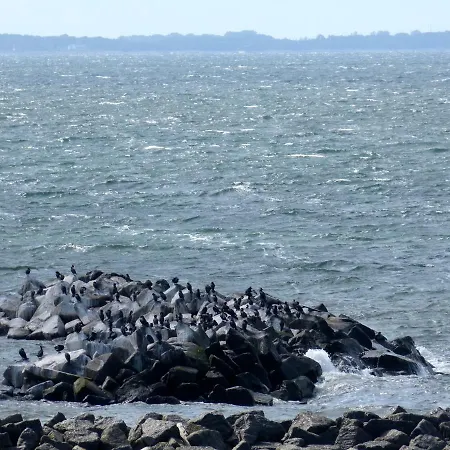 Gemuetliches In Strandnaehe