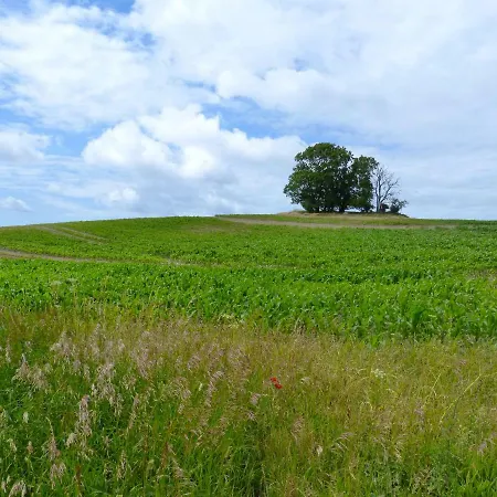 Gemuetliches In Strandnaehe *