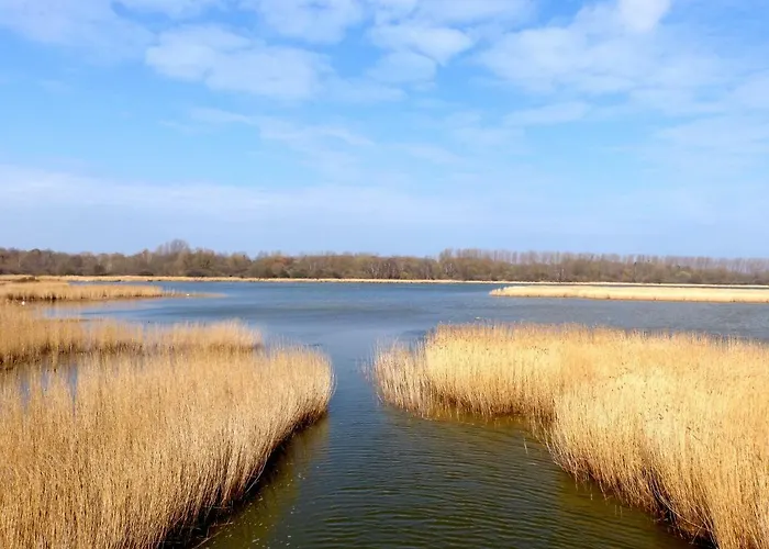Gemuetliches In Strandnaehe Апартаменты Дранске