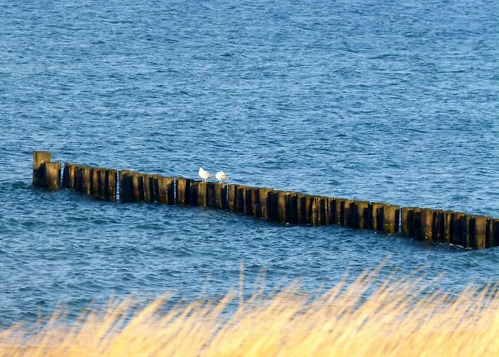 Gemütliches In Strandnähe Apartment Dranske
