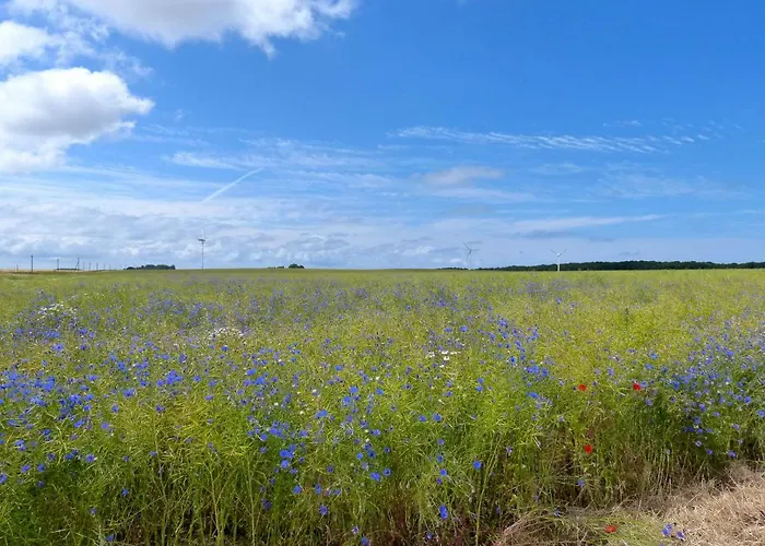Апартаменты Gemuetliches In Strandnaehe *