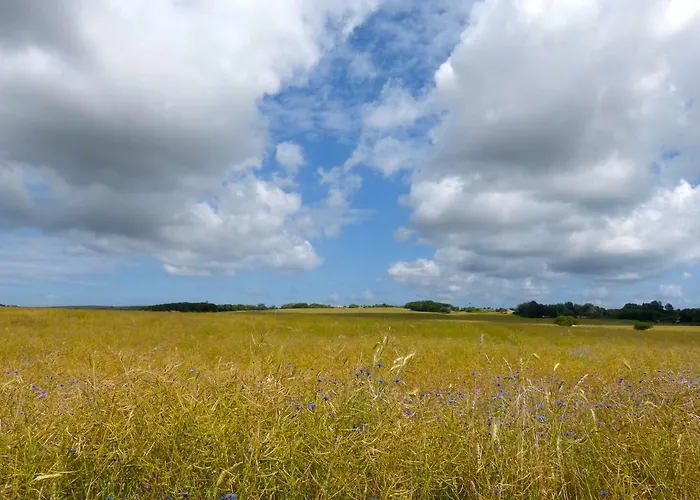 Apartment Gemütliches In Strandnähe Dranske