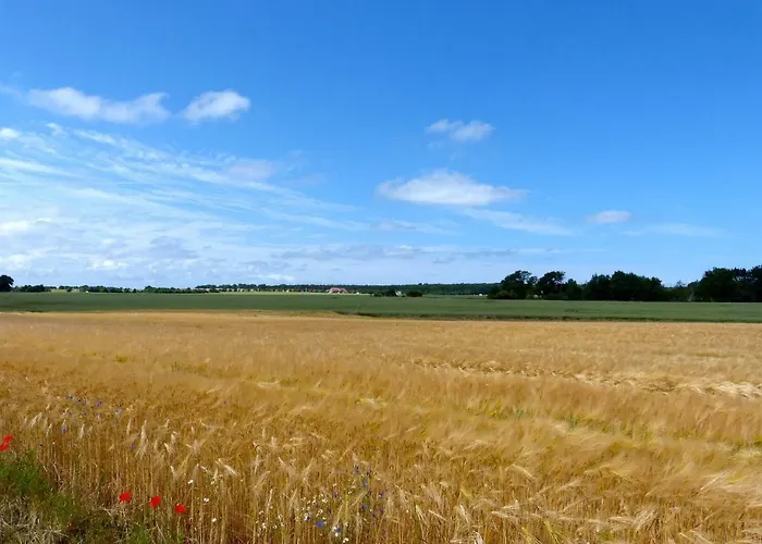Gemuetliches In Strandnaehe