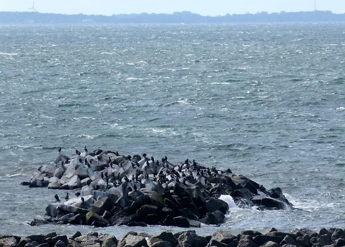 Gemütliches In Strandnähe