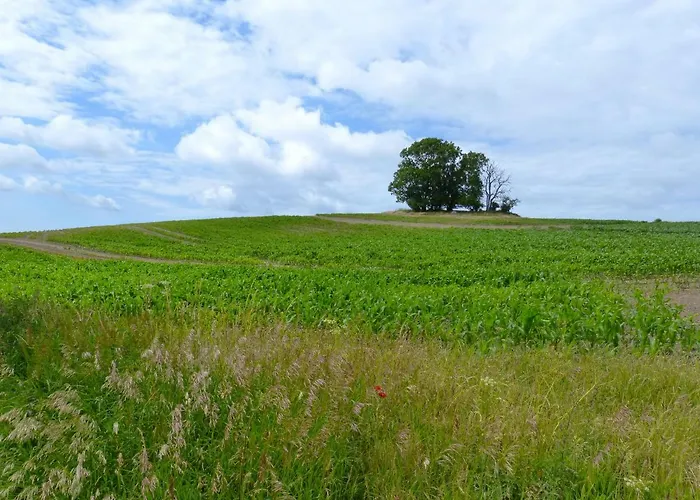Gemuetliches In Strandnaehe *